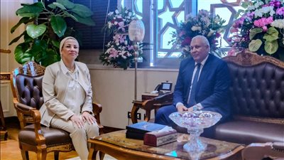 وزير البيئة ومحافظ الوادي الجديد يبحثان الفرص الاستثمارية من جريد النخيل 