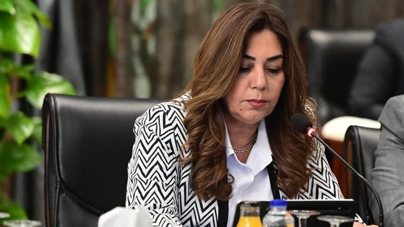 وزيرة التنمية المحلية،