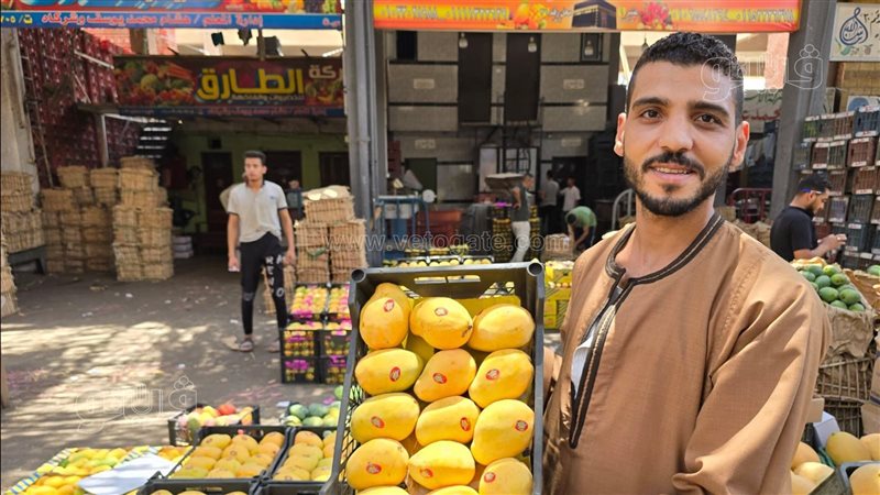 أسعار المانجو اليوم،