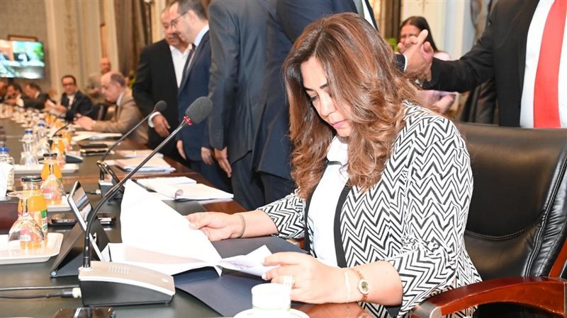 وزيرة التنمية المحلية،