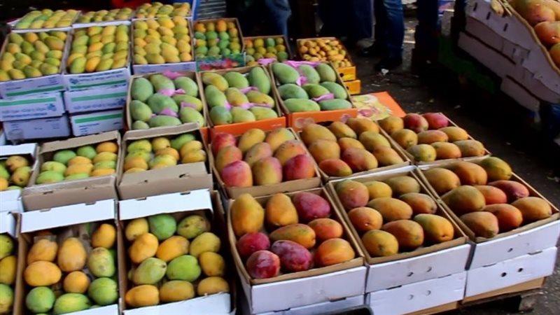 أسعار المانجو في