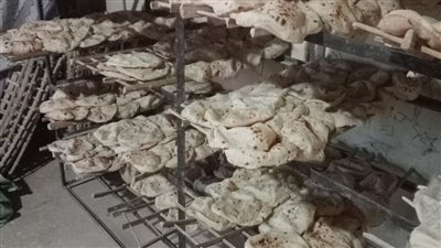 تموين القليوبية يشن حملة مكبرة على المخابز البلدية ومحال السلع والمنتجات 