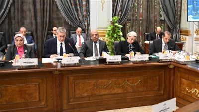 رئيس طاقة البرلمان يكشف موعد انتهاء مشكلة انقطاع الكهرباء نهائيا 