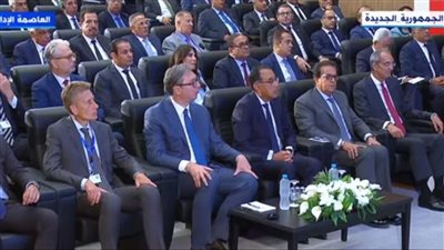 رئيس غرفة التجارة الصربي: توصلنا إلى اتفاقية التجارة الحرة بعد شراكة عامين مع مصر