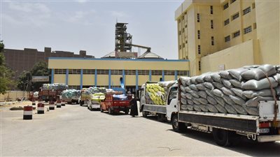 ارتفاع توريد القمح إلى 194 ألف طن لشون وصوامع أسيوط