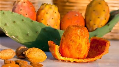 فوائد التين الشوكي، ينظم سكر الدم ويساعد في إنقاص الوزن