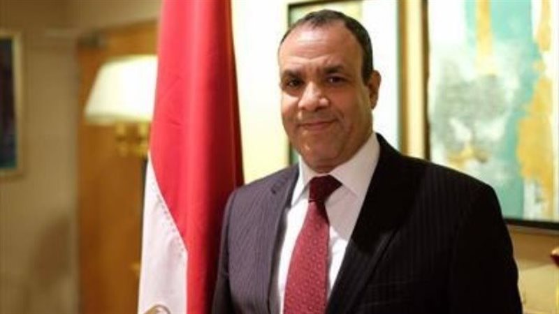 بدر عبد العاطى وزير