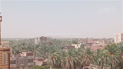 طقس سيئ ورياح مثيرة للأتربة تضرب الوادي الجديد (صور)