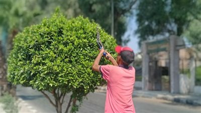 محافظ أسيوط يكلف بإنشاء مطب صناعي بالطريق الدائري بسبب الحوادث (صور) 