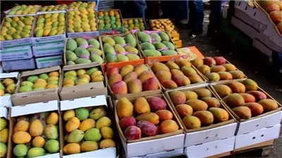 العويس تتراجع 5 جنيهات، تعرف على أسعار المانجو في سوق العبور 