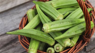 فوائد البامية، تقوي المناعة والنظر ومهمة لصحة الحوامل