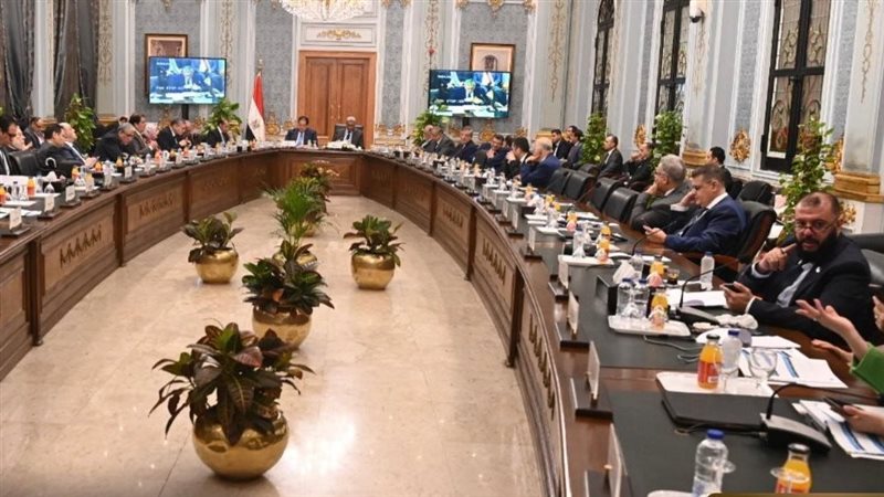 لجنة دراسة بيان الحكومة،