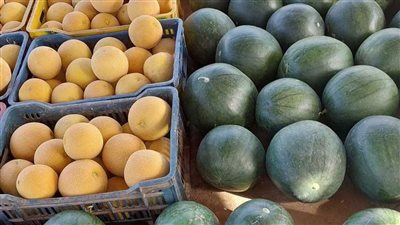 أسعار الفاكهة اليوم، الكانتلوب يرتفع 3 جنيهات في سوق العبور