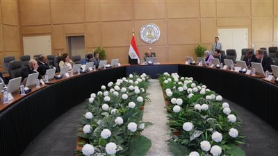 الكهرباء: بدء تشغيل مشروع الربط الكهربائي مع السعودية الصيف المقبل