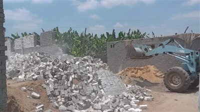 إزالة 30 حالة تعد على الأراضي الزراعية وأملاك الدولة بالبحيرة 