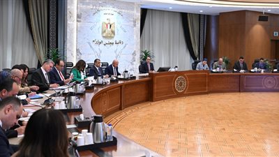 مدبولي يؤكد الدعم الكامل للمجموعة الوزارية للتنمية الصناعية 