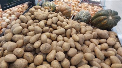 الزراعة: 3 أسباب وراء ارتفاع أسعار البطاطس بالأسواق