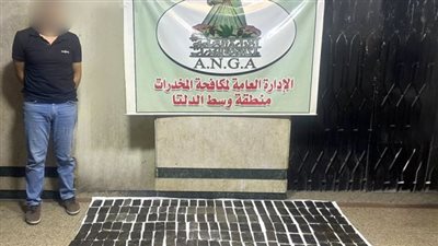 ضبط عنصرين إجراميين بالغربية والقاهرة لحيازتهما مخدرات بـ2.2 مليون جنيه 