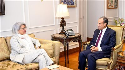 وزير الخارجية: التهديدات الأمنية فى البحر الأحمر أثرت على مصر بشكل خاص (صور)