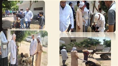 بيطري الشرقية: إطلاق قافلة طبية توعوية بقرية قنتير 