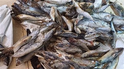 ضبط طن سكر مجهول المصدر و250 علبة جبنة منتهية الصلاحية بالبحيرة 