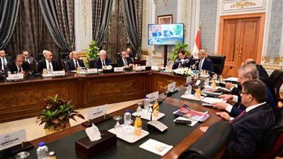 أبرز توصيات البرلمان لحماية الأمن القومي وتعزيز السياسة الخارجية 