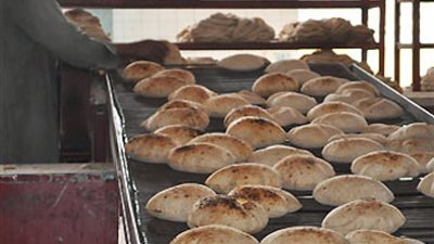 تحرير 35 محضرا بالأسواق في الوادي الجديد 