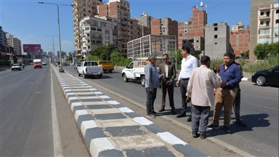 رفع 720 طن قمامة وأتربة من شوارع الدقهلية (صور)