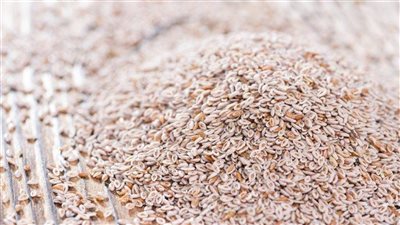 قشور السيليوم، تكميم طبيعي للمعدة والأفضل لجمال البشرة