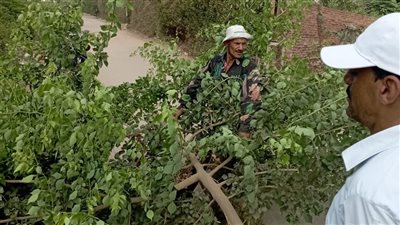 حملة مكبرة لرفع كفاءة النظافة بقرى بلبيس في الشرقية