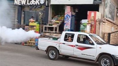 حملات مكثفة للقضاء على الحشرات الطائرة بمدينة فاقوس في الشرقية