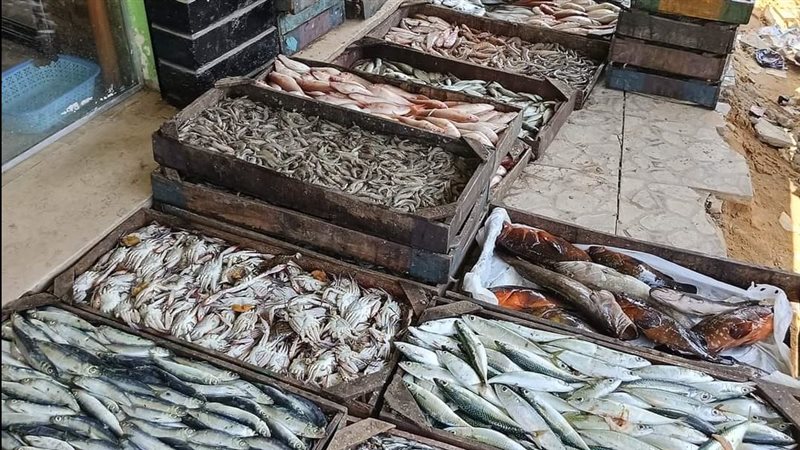 أسعار الأسماك والجمبري