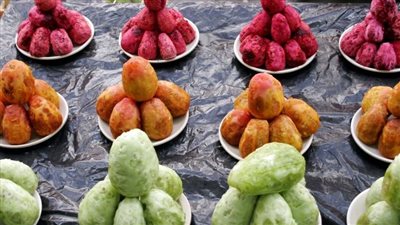 فوائد التين الشوكي، يزيد الرغبة الجنسية ويعزز صحة البروستاتا 