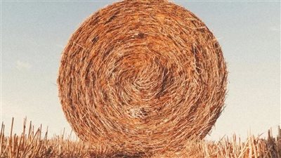 علماء روس ينتجون وقودًا حيويًا من القش