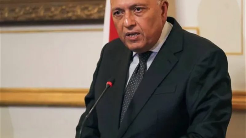 سامح شكري 