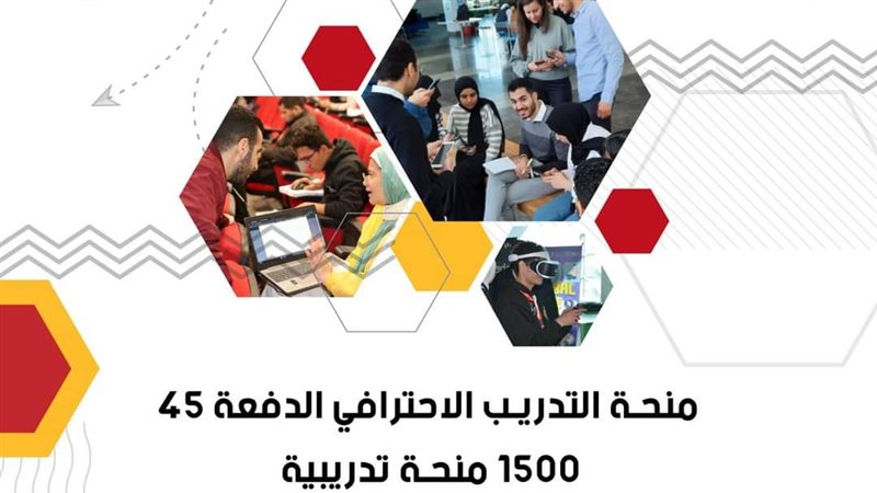 منحة التدريب الاحترافي،