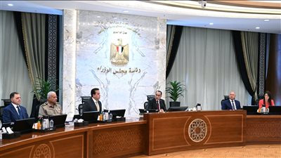 الحكومة: تخصيص أراض لبعض الشركات بنظام البيع بالدولار من خارج البلاد