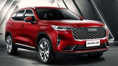 تقرير يكشف السيارات الصينية الأكثر مبيعا في مصر خلال 6 أشهر 