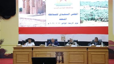 تفاصيل 16 قرارا لاجتماع المجلس التنفيذي للوادي الجديد برئاسة الزملوط