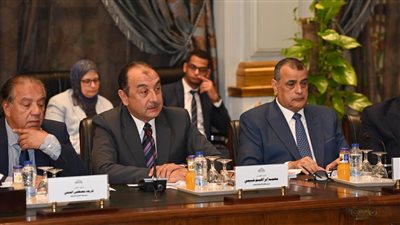 وزير قطاع الأعمال يبحث مع سفيرة النرويج تعزيز التعاون وفرص الاستثمار