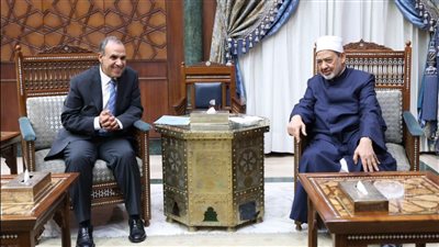 وزير الخارجية للإمام الأكبر: الأزهر الممثل الحقيقي للقوى المصرية الناعمة في الخارج