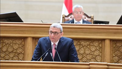 وكيل النواب يستعرض تقرير دراسة برنامج الحكومة الجديدة 