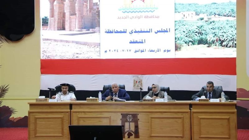 المجلس التنفيذي للوادي