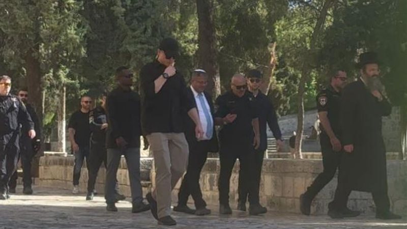 بن غفير، فيتو