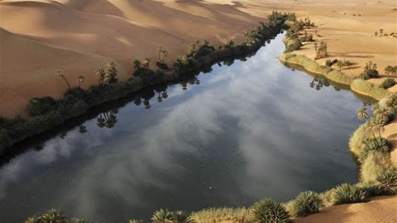 منخفض القطارة يحمي