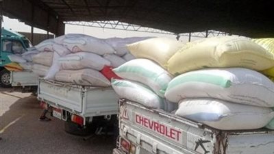 ارتفاع توريد القمح لصوامع الشرقية إلى 616 ألف طن 