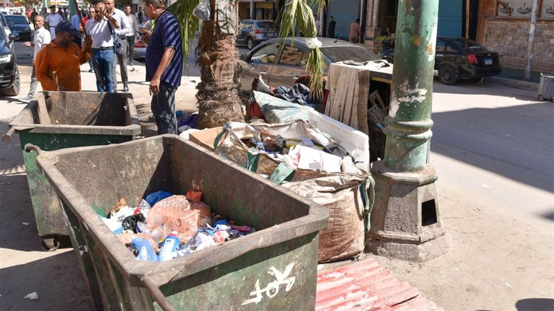 الإسكندرية, فيتو