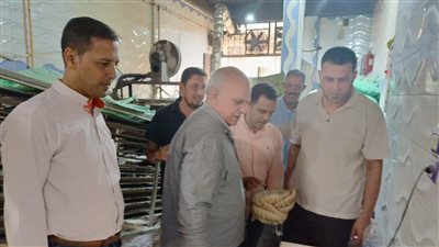 ضبط 5500 عبوة مواد غذائية منتهية الصلاحية بالبحيرة