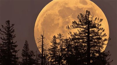 ظاهرة فلكية جديدة تظهر غدا، تعرف عليها