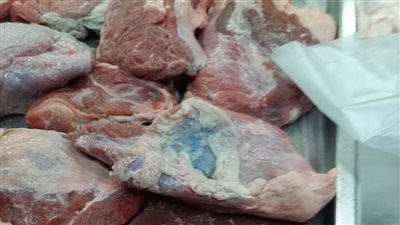 ضبط 60  كيلوجراما لحوم منتهية الصلاحية في الأقصر